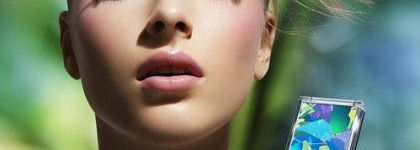 Морфориум - ловец бабочек