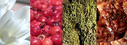 9 красавцев - мои первые селективы