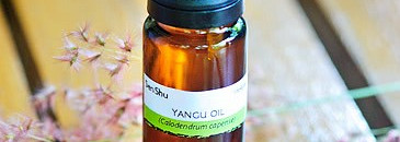 О натуральных маслах: мои растительные масла и смеси. Часть 2