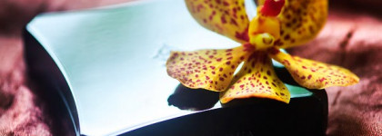 Антикварное золото для смоки в Illamasqua Neutral Palette