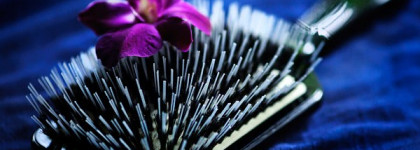 Японское иcкусство красивых волос - Shu Uemura Art of Hair Paddle Brush