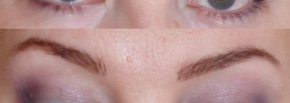 Весенняя коллекция 2010 от YSL - YSL 2010 Spring Look Collection, палетка из 2х оттенков Ombres Duolumieres #25