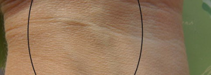 Shiseido Natural Finish Cream Concealer из коллекции осень-зима 2010