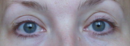 Shiseido Natural Finish Cream Concealer из коллекции осень-зима 2010