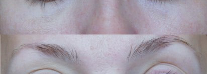 Shiseido Natural Finish Cream Concealer из коллекции осень-зима 2010