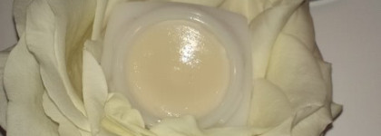 Chanel Hydramax + Active Nutrition Lip Care