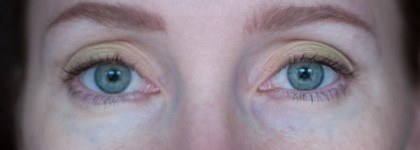 Shiseido – Sheer Eye Zone Corrector – 101 (Very Light) (Корректор для области вокруг глаз – но, скорее, хайлайтер)
