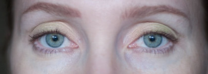 Shiseido – Sheer Eye Zone Corrector – 101 (Very Light) (Корректор для области вокруг глаз – но, скорее, хайлайтер)
