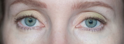 Shiseido – Sheer Eye Zone Corrector – 101 (Very Light) (Корректор для области вокруг глаз – но, скорее, хайлайтер)