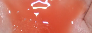 Davines energizing shampoo, Davines energizing gel, Davines purifying shampoo