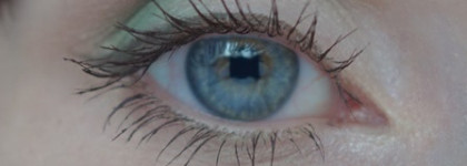 Burberry Complete Eye Palette Sage Garden №15