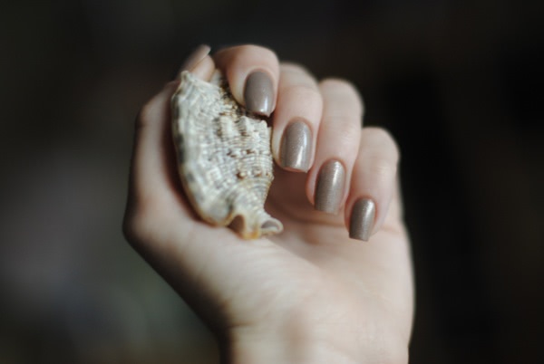 Cамый осенний лак - Orly Nail Lacquer # 40749 Nite Owl