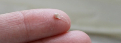 Smashbox Photo Finish Foundation Primer Pore Minimizing