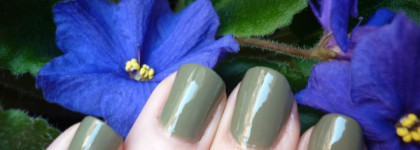 Милитари сдержанность с Beyu Long Lasting Nail Lacquer 275