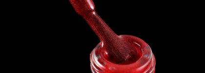 Dance Legend RED Show 10