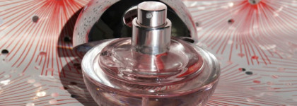 Аромат цветущего сада во флаконе Dkny Be Delicious Fresh Blossom