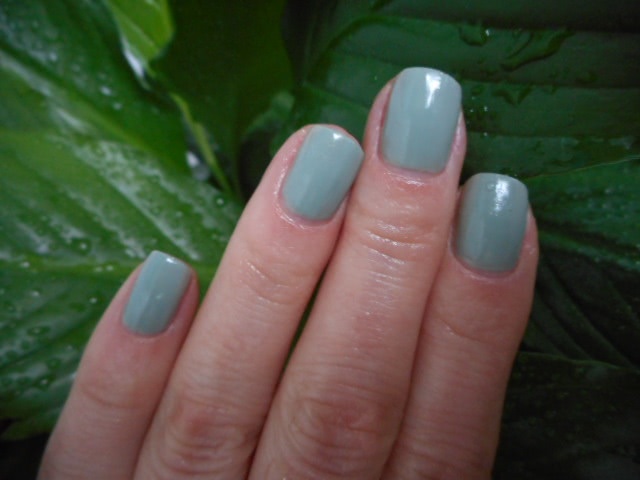 Мой идеальный зеленый лак от Golden Rose Paris Nail Laquer #225