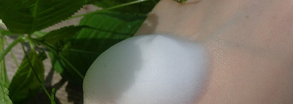 Мягко и бережно очищаем кожу с пенкой от The Body Shop Aloe Gentle Facial Wash