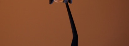 Кисть O! Wow Brush от Cailyn