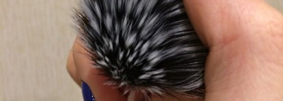 О нашумевших кистях Real Techniques by Samantha Chapman - Stippling Brush, Blush Brush, Sculpting Brush и Setting Brush