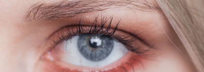 5 продуктов из осенней коллекции макияжа Chanel Le Rouge Makeup Collection Fall 2016