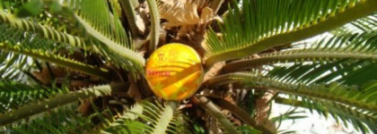 Бальзам  для губ Agatha Ruiz De La Prada