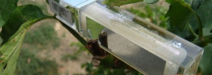 Блеск для губ BeYu Lip Lights «Лунный Свет» №51