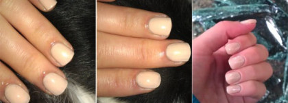 Golden Rose Paris, рart I: пастельные кремовые