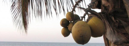 Солнцезащитный крем Korres Yoghurt Face Sunscreen Cream Spf30