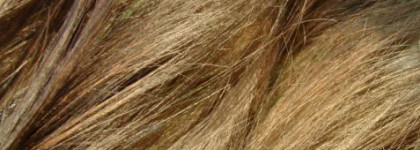 Мои волосы полюбили Schwarzkopf Professional