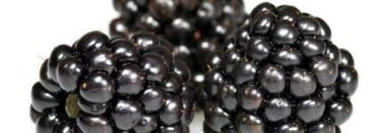 Карандаш для ярких стрелочек Oriflame Beauty