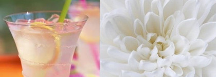 Большущий обзор парфюмерии Montale от начинающего парфманьяка. Часть 1