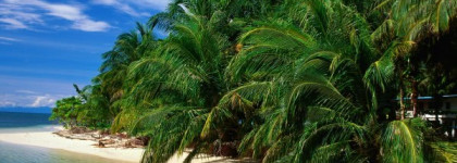 PG 05 L'Eau de Circe - Вода Цирцеи Parfumerie Generale