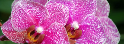 Яркая жизнь с Rimmel 60 seconds № 615