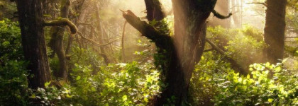 Parfumerie Generale - нелюбимые ароматы