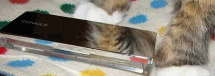 Матовые четырёхцветные тени Clinique Colour Surge Eye Shadow, оттенок Teddy bear (много фото)