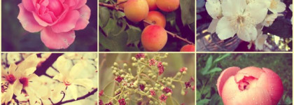 Моя весна будет пахнуть Парижем. Love in Paris. Nina Ricci