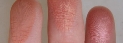 MAC blush pallete - палитра румян