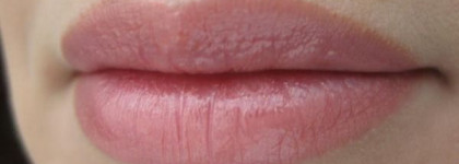 Shiseido Shimmering Lipstick Rouge Irise SL 16
