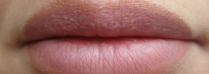 Shiseido Shimmering Lipstick Rouge Irise SL 16