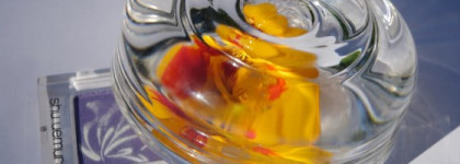 Прессованные тени Shu Uemura