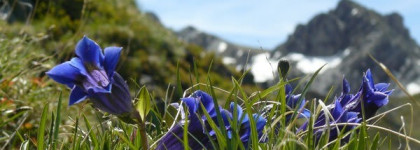 Eau de Gentiane Blanche из коллекции Hermes Les Colognes