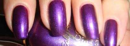 Чернильный фиолет - Sally Hansen Fair 05