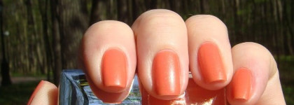 2  "мандарина" и 2  "ягодки" от Диор