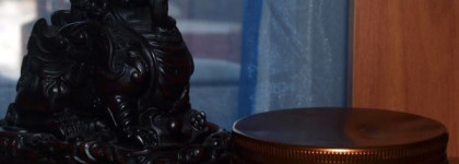 Мои тайские любимчики. часть 1