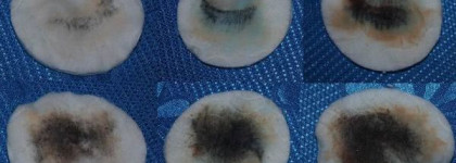 Двухфазные жидкости для снятия макияжа с глаз