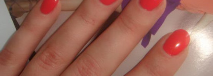 Эй, бармен! Коктейль от Dolce&Gabbana