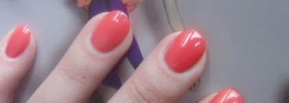 Эй, бармен! Коктейль от Dolce&Gabbana