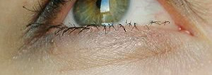 Helena Rubinstein - Lash Queen Mascara Feather Collection