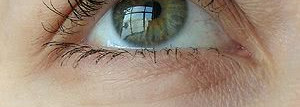 Helena Rubinstein - Lash Queen Mascara Feather Collection